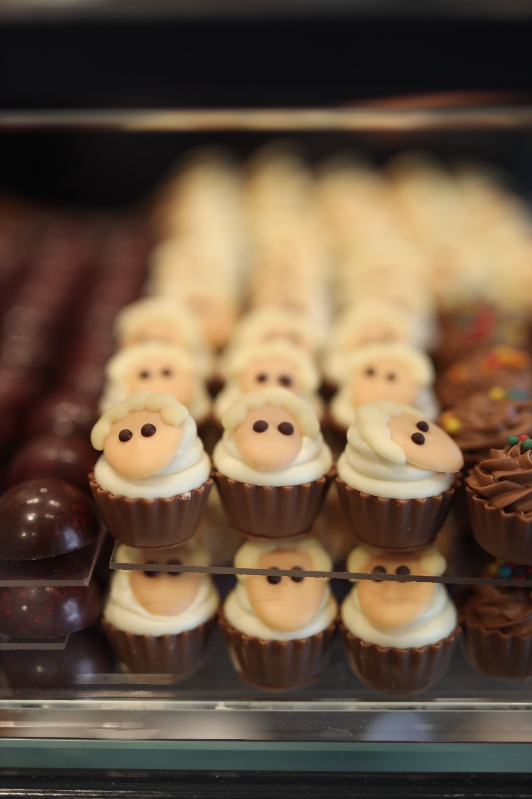 WhatsApp Image 2020-07-28 at 5.40.51 PM.jpeg.jpeg